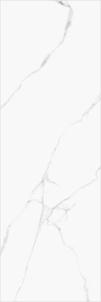 Atlantic-White-1